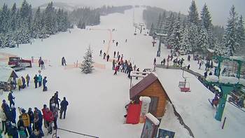 Пилипець 20 січня 2019 року, 2019-01-20 13:00