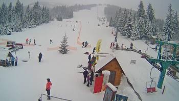 Пилипець 23 січня 2019 року, 2019-01-23 13:00