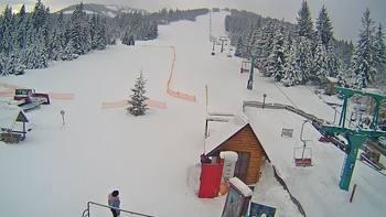 Пилипець 24 січня 2019 року, 2019-01-24 10:00