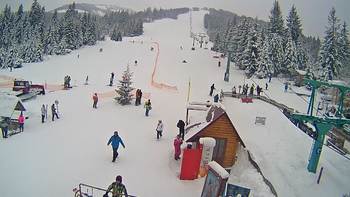 Пилипець 24 січня 2019 року, 2019-01-24 13:00