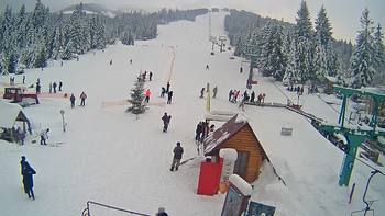 Пилипець 25 січня 2019 року, 2019-01-25 13:00