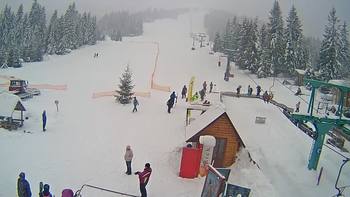 Пилипець 26 січня 2019 року, 2019-01-26 10:00