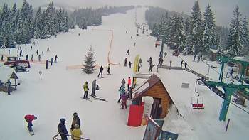 Пилипець 26 січня 2019 року, 2019-01-26 16:00