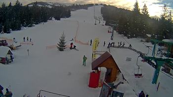 Пилипець 28 січня 2019 року, 2019-01-28 16:00