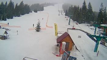 Пилипець 31 січня 2019 року, 2019-01-31 10:00