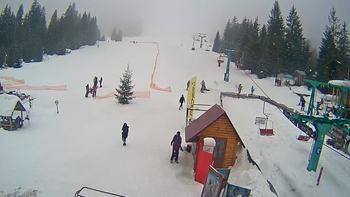 Пилипець 31 січня 2019 року, 2019-01-31 16:00