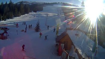 Пилипець 19 лютого 2019 року, 2019-02-19 16:00