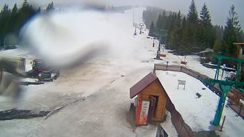 Пилипець 2 березня 2020 року, 2020-03-02 10:00