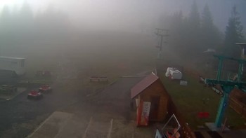 Пилипець 8 листопада 2020 року, 2020-11-08 10:00