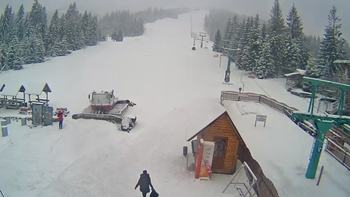 Пилипець 13 січня 2021 року, 2021-01-13 10:00