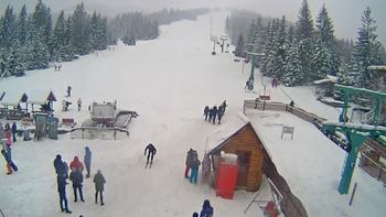 Пилипець 19 січня 2021 року, 2021-01-19 13:00