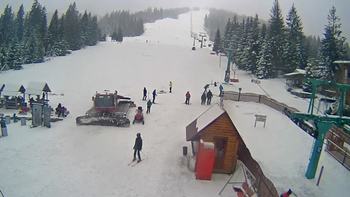 Пилипець 29 січня 2021 року, 2021-01-29 13:00