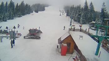 Пилипець 29 січня 2021 року, 2021-01-29 16:00