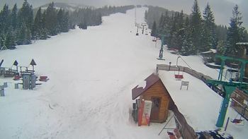 Пилипець 17 березня 2021 року, 2021-03-17 13:00