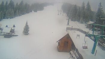 Пилипець 13 січня 2024 року, 2024-01-13 10:00