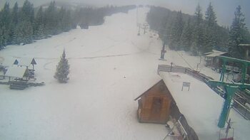 Пилипець 13 січня 2024 року, 2024-01-13 16:00