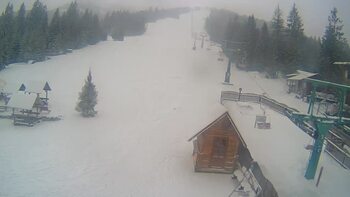 Пилипець 14 січня 2024 року, 2024-01-14 13:00