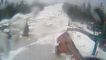 Пилипець 18 січня 2024 року, 2024-01-18 10:00
