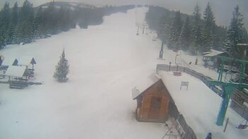 Пилипець 21 січня 2024 року, 2024-01-21 10:00