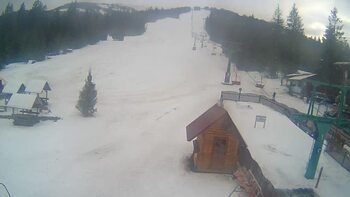 Пилипець 23 січня 2024 року, 2024-01-23 16:00