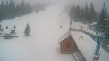 Пилипець 24 січня 2024 року, 2024-01-24 13:00