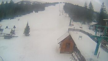 Пилипець 25 січня 2024 року, 2024-01-25 10:00