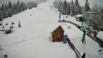 Пилипець 12 січня 2026 року, 2026-01-12 13:00