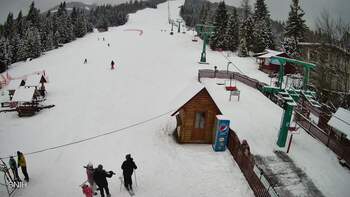 Пилипець 20 лютого 2026 року, 2026-02-20 13:00