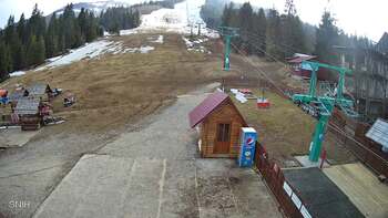 Pylypets 17 march 2026 year, 2026-03-17 16:00