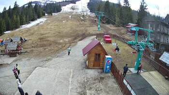 Pylypets 20 march 2026 year, 2026-03-20 16:00