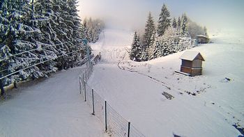 Подобовець 28 листопада 2017 року, 2017-11-28 10:00
