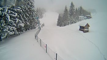Подобовець 11 грудня 2017 року, 2017-12-11 10:00