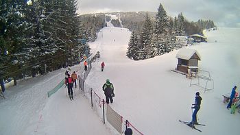 Подобовець 10 січня 2019 року, 2019-01-10 10:00