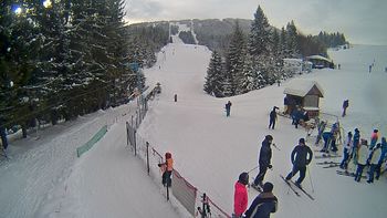 Подобовець 10 січня 2019 року, 2019-01-10 13:00