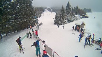 Подобовець 12 січня 2019 року, 2019-01-12 16:00