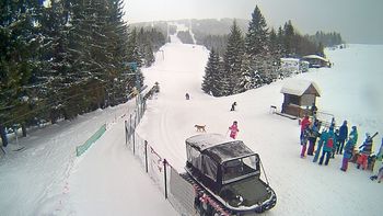 Подобовець 13 січня 2019 року, 2019-01-13 10:00