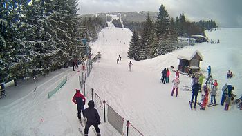 Подобовець 14 січня 2019 року, 2019-01-14 13:00