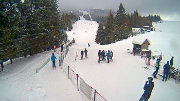 Подобовець 17 січня 2019 року, 2019-01-17 13:00