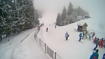 Подобовець 18 січня 2019 року, 2019-01-18 13:00