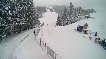 Подобовець 22 січня 2019 року, 2019-01-22 13:00