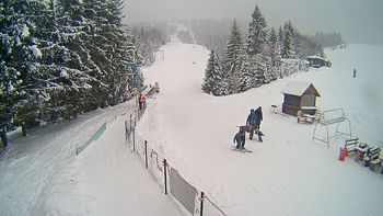 Подобовець 24 січня 2019 року, 2019-01-24 16:00