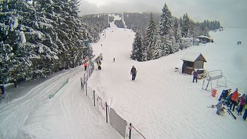 Подобовець 25 січня 2019 року, 2019-01-25 13:00