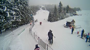 Подобовець 27 січня 2019 року, 2019-01-27 16:00