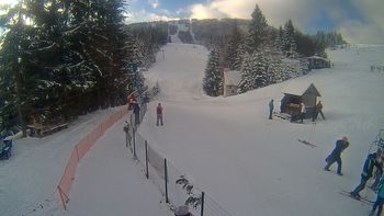 Подобовець 28 січня 2021 року, 2021-01-28 13:00