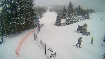 Подобовець 29 січня 2021 року, 2021-01-29 10:00