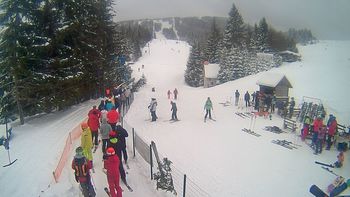 Подобовець 14 лютого 2021 року, 2021-02-14 13:00