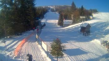 Подобовець 24 січня 2022 року, 2022-01-24 10:00