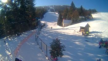 Подобовець 24 січня 2022 року, 2022-01-24 13:00