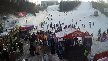 Протасів Яр 8 січня 2022 року, 2022-01-08 13:00