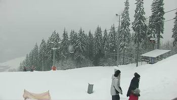 Буковель 23 січня 2019 року, 2019-01-23 13:00